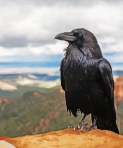 Common Raven Paint by numbers