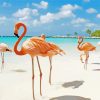Flamingos By Beach Paint by numbers