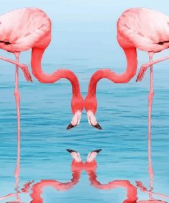Flamingos Drinking Water Paint by numbers