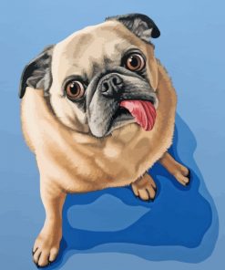 Funny Pug Dog paint by numbers