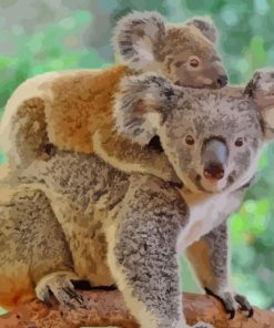 Koala And Her Baby paint by numbers