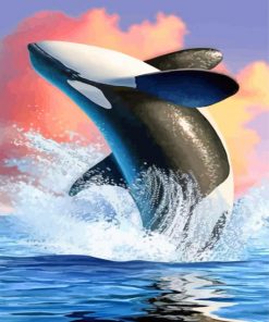 Orca Fish paint by numbers