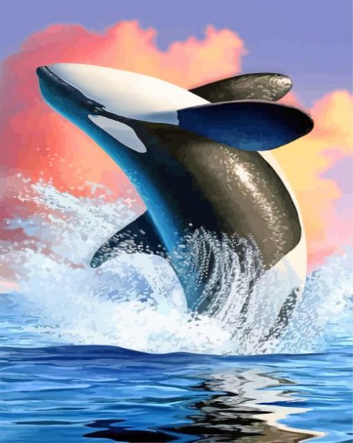 Orca Fish paint by numbers