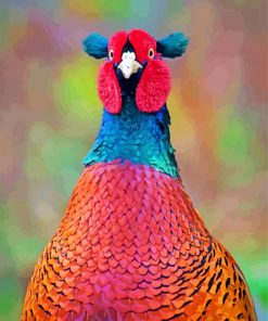 Pheasant Bird paint by numbers
