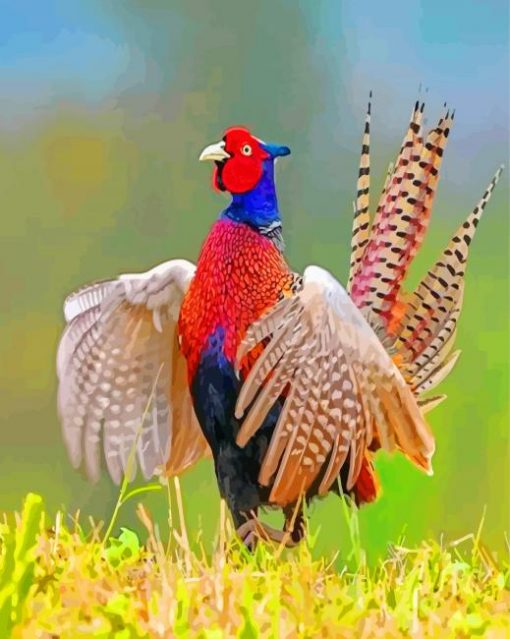 Beautiful Pheasant paint by numbers