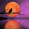 Raven Moonlight paint by numbers
