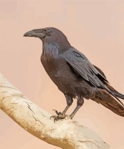 Raven On Branch paint by numbers
