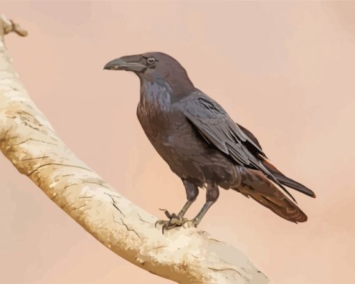 Raven On Branch paint by numbers