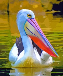 Aesthetic Pelican paint by numbers