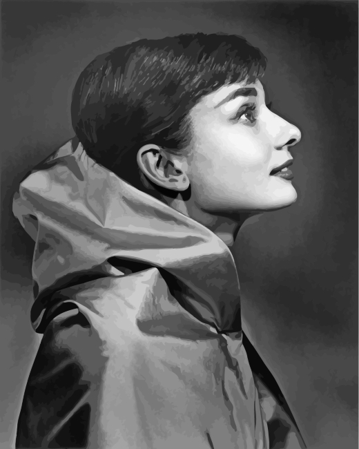 Audrey Hepburn Monochrome paint by numbers
