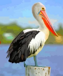 Black And White Pelican paint by numbers