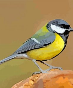 Black And Yellow Parus paint by numbers