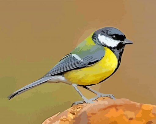 Black And Yellow Parus paint by numbers