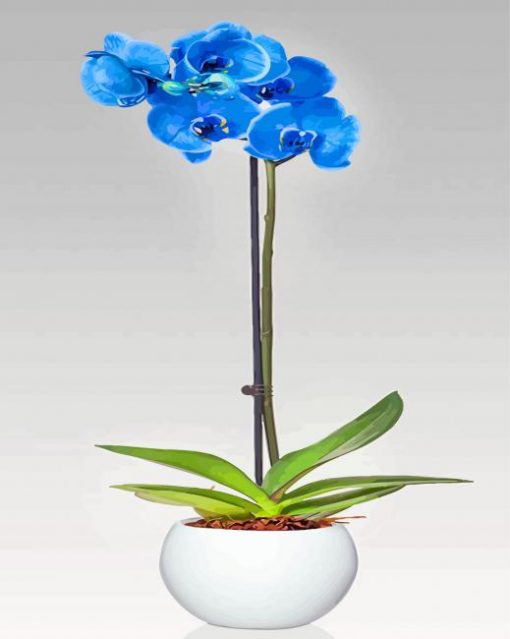 Blue Orchidea paint by numbers