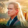 Cool Legolas paint by numbers