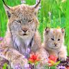 Cute Lynx Family paint by numbers