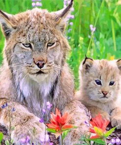 Cute Lynx Family paint by numbers