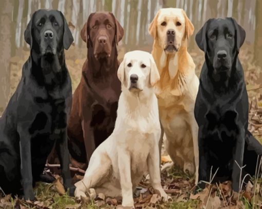 Labradors Dogs paint by numbers
