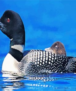 Loons Bird paint by numbers