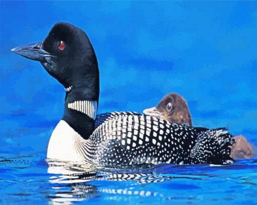 Loons Bird paint by numbers