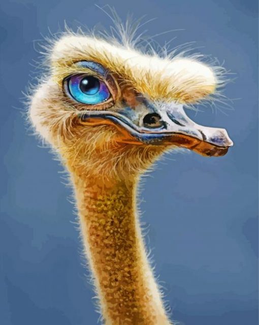 Ostrich With Blue Eyes paint by numbers