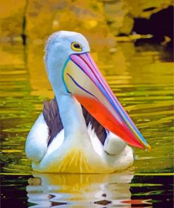 Pelican In The Wtaer paint by numbers