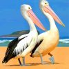Black And White Pelicans paint by numbers