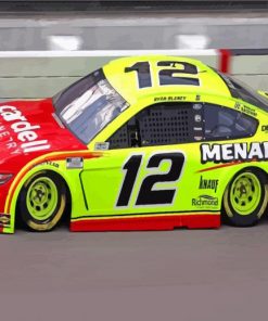 Red And Yellow Nascar paint by numbers