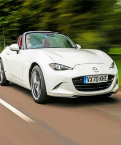 White Mx5 paint by numbers