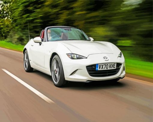 White Mx5 paint by numbers