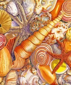 Aesthetic Sea Shells Art paint by numbers