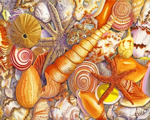 Aesthetic Sea Shells Art paint by numbers
