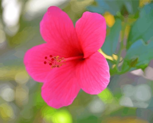 Blooming Pink Hibiscus paint by numbers