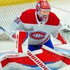 Carey Price From Habs paint by numbers