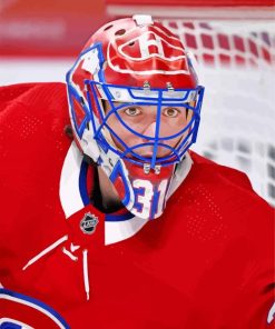 Carey Price Habs Carey paint by numbers