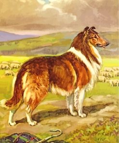 Collie Dog Art paint by numbers