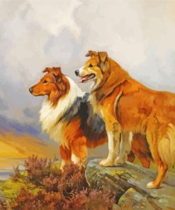 Collie Dogs paint by numbers