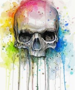 Colorful Skull Art paint by numbers