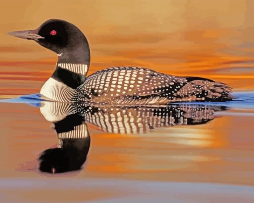 Common Loon paint by numbers