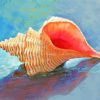 Horse Conch Shell paint by numbers
