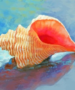 Horse Conch Shell paint by numbers
