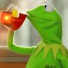 Kermit Drinking paint by numbers