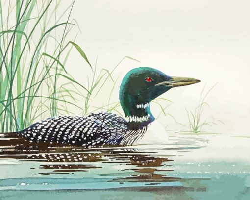 Loon In Water Art paint by numbers