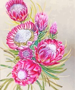 Pink Protea Plants Art paint by numbers