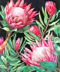 Pink Protea paint by numbers