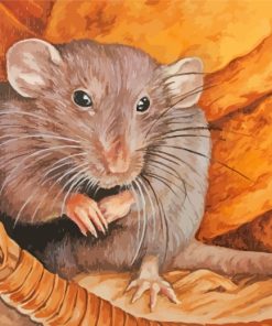 Rat Rodent paint by numbers