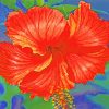 Red Hibiscus Flower paint by numbers