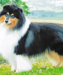 Rough Collie paint by numbers