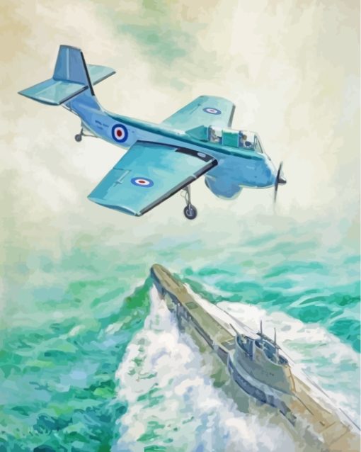 Royal Navy Plane Art paint by numbers