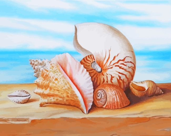 easy seashell paintings